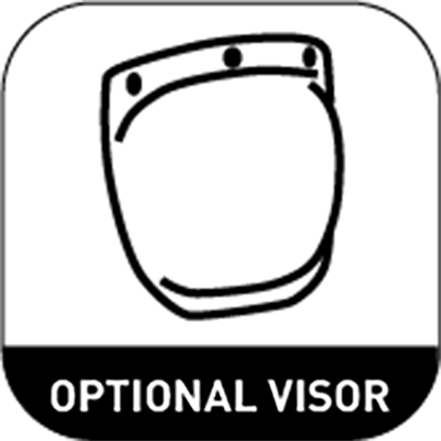 Optional Visor